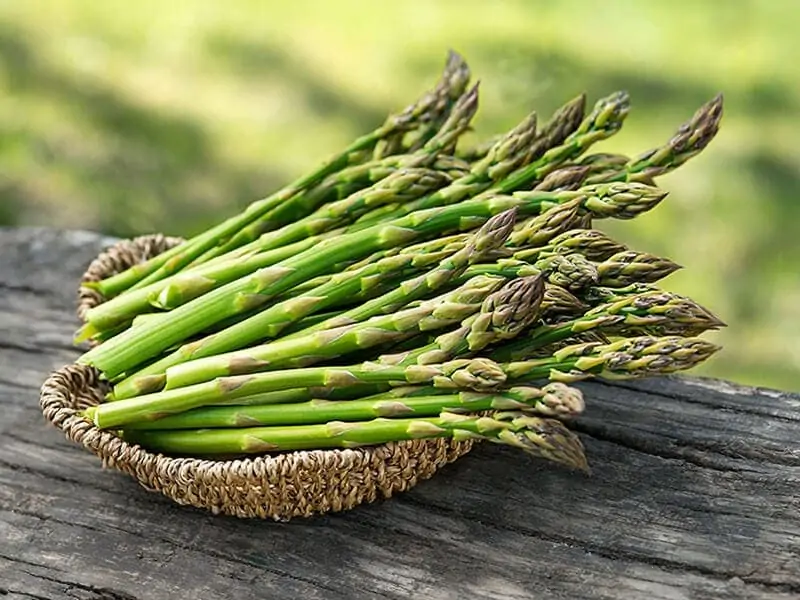 How To Store Asparagus