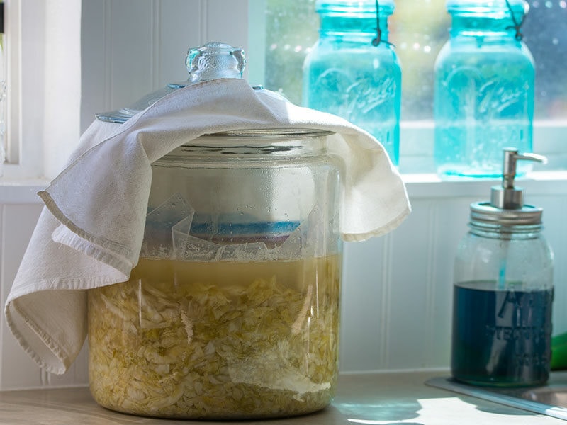 Jar Of Sauerkraut 