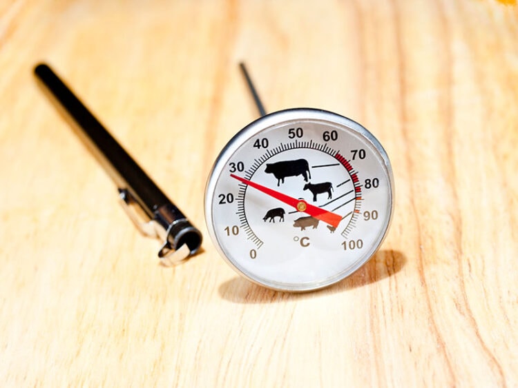 How To Tell If Salmon Is Cooked A MustSee Guide 2023