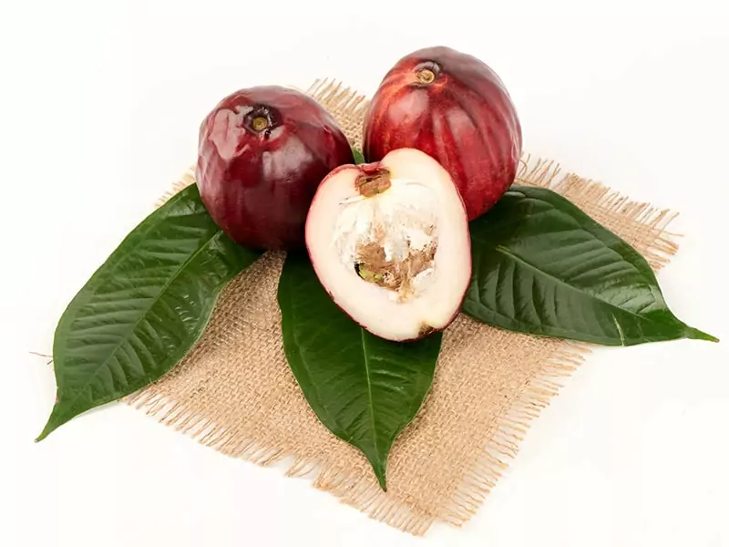 Malay Apple Fruits