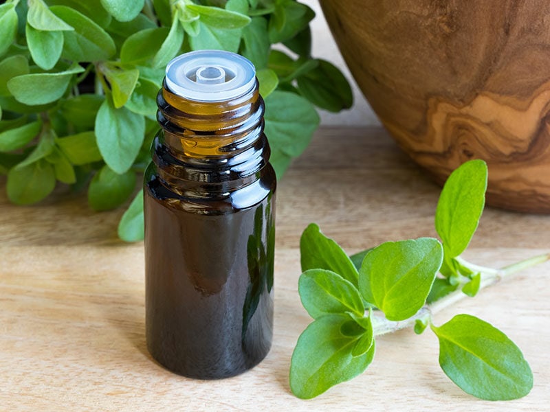 Marjoram Oil