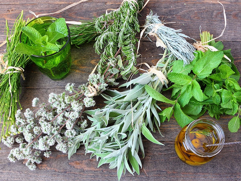 10 Marjoram Substitutes