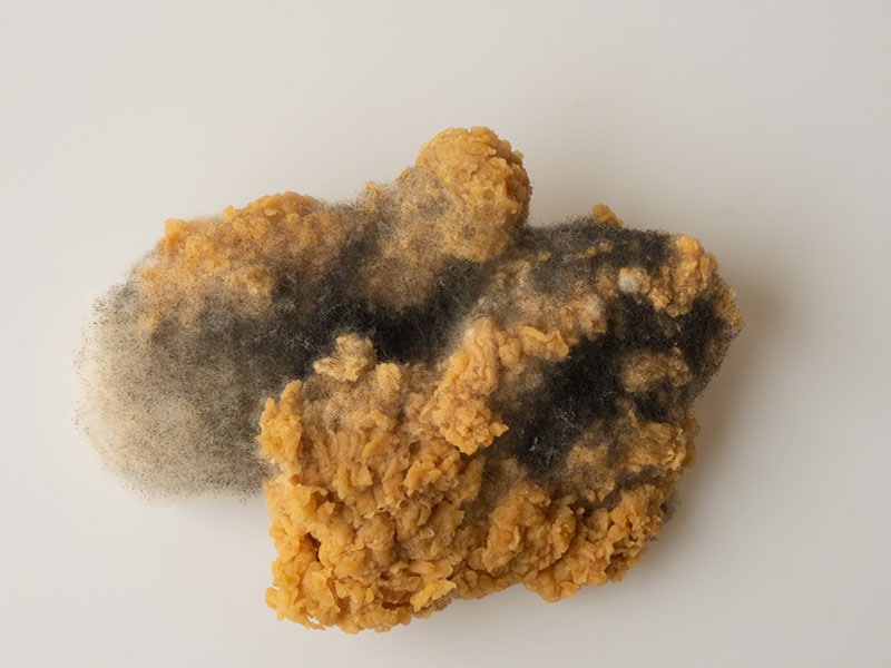 Moldy Fuzzy Chicken Pieces