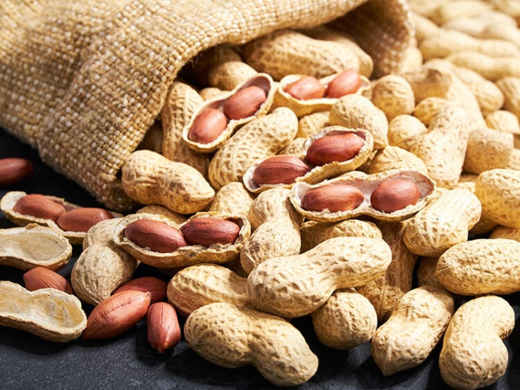 Do Peanuts Go Bad How To Extend Its Shelf Life?