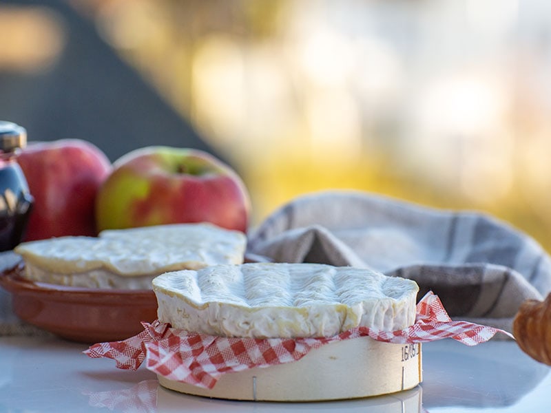 Cheese Collection French Normandy