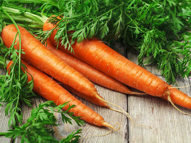 Fresh Carrot