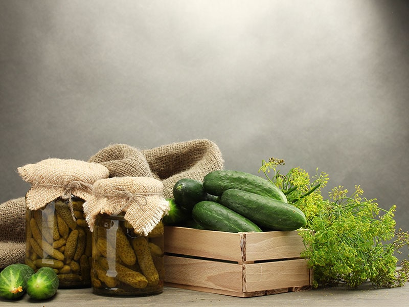 Fresh Cucumbers