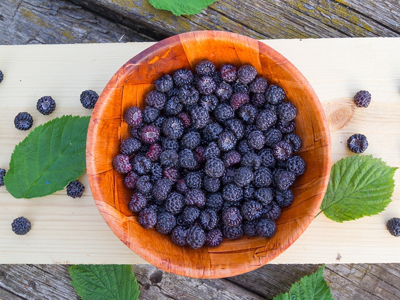 Fresh Dewberries