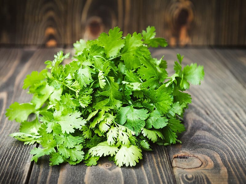 Fresh Green Cilantro Coriander