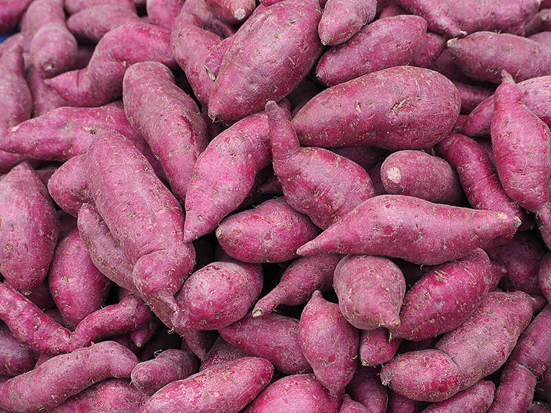 Fresh Purple Yams