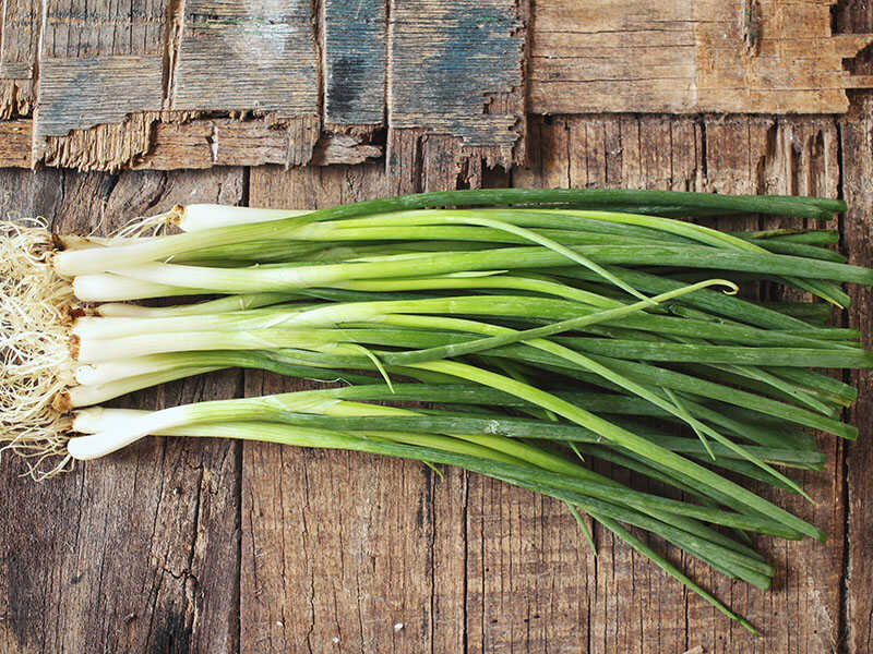 Green Onion