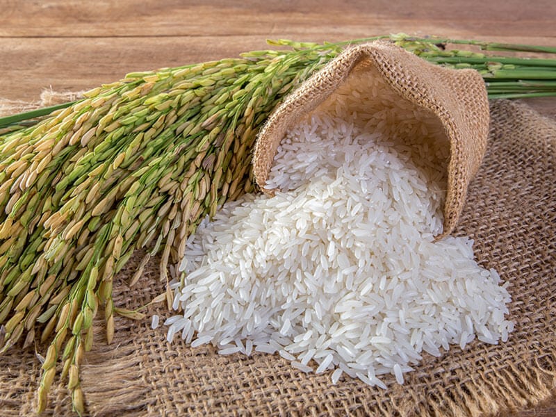 Jasmine rice