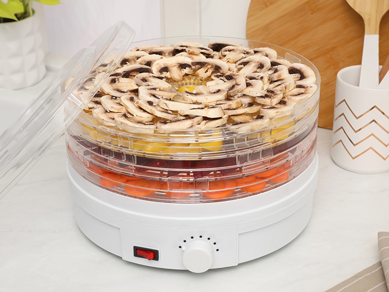 Modern Dehydrator Machine