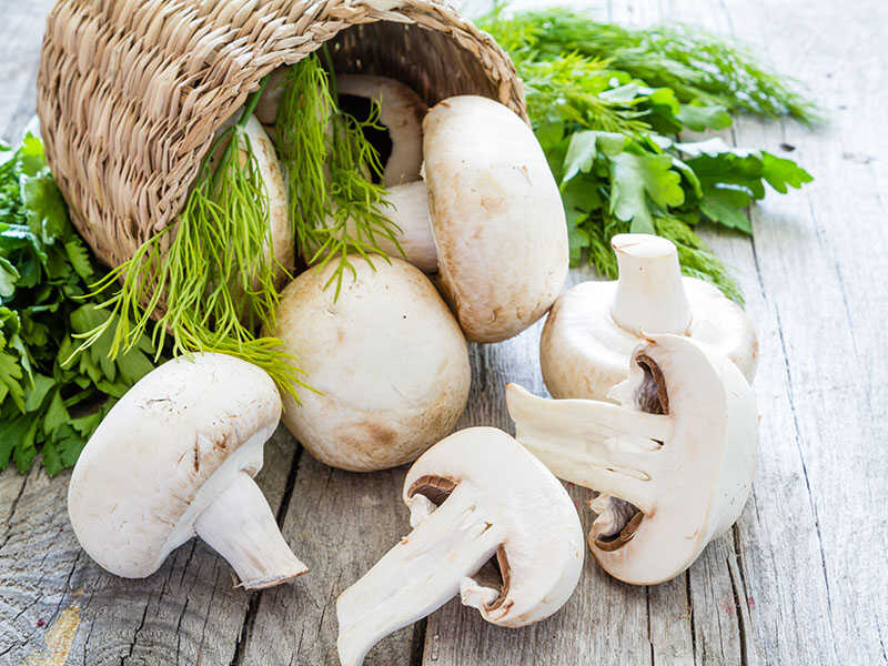 Mushrooms Basket Rustic Wood