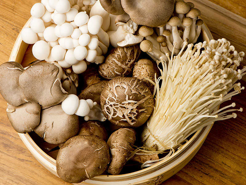 Mushrooms Fresh Organic