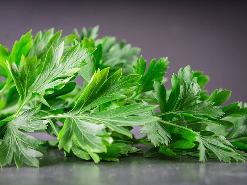 Pointed Italian Parsley's