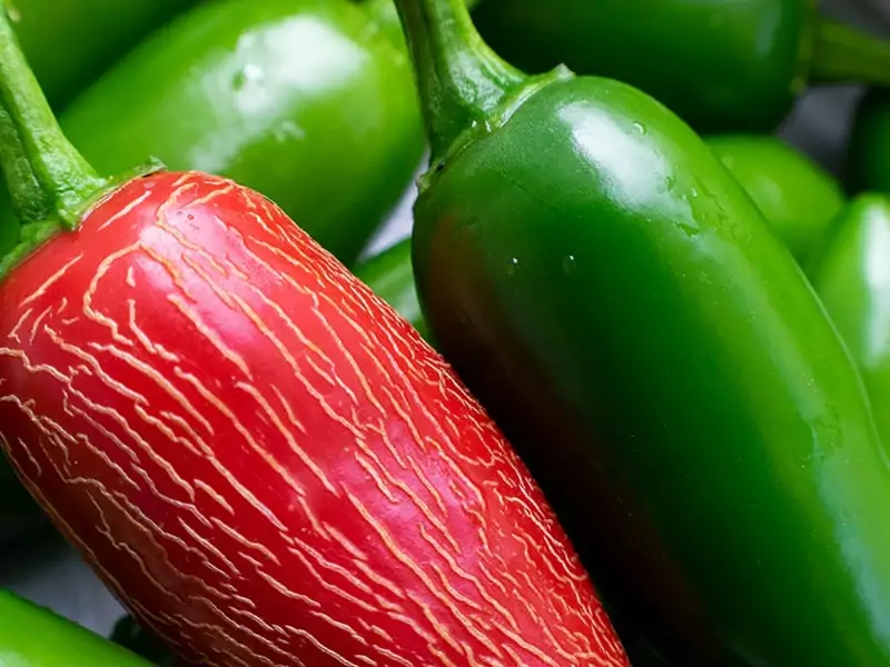 Ripe Bright Red Pepper