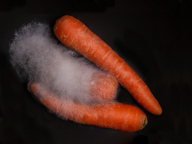 Do Carrots Go Bad? Best Storage Methods 2024