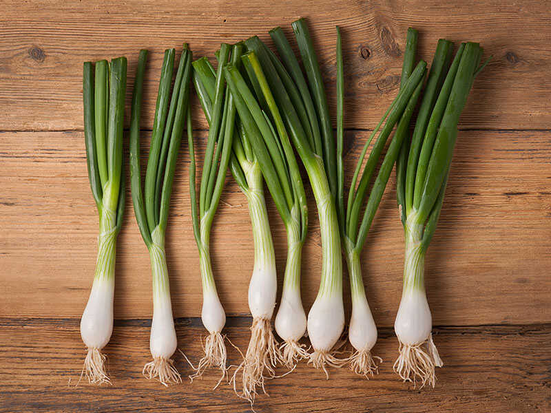 Spring Onions