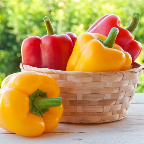 Are Orange Peppers Good For Dogs