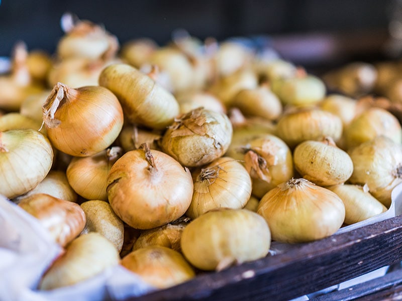 Sweet Cipollini Onions