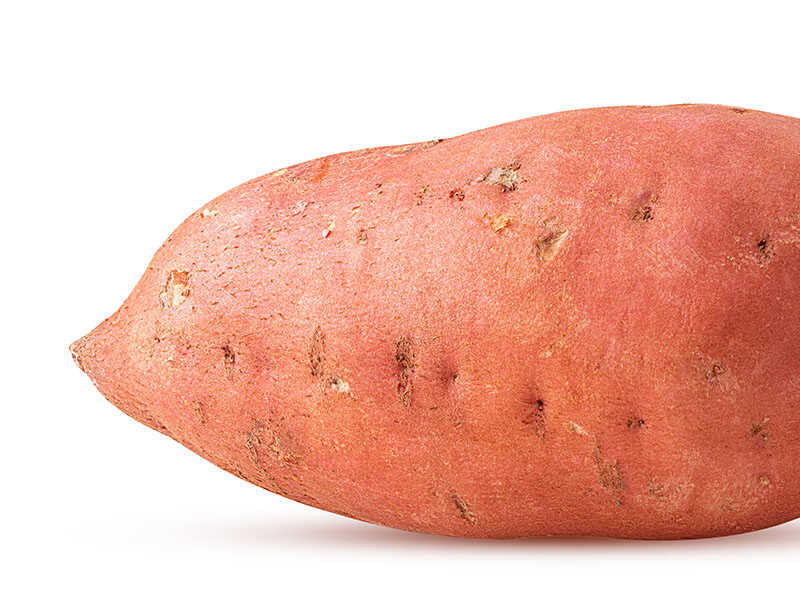 Sweet Potato