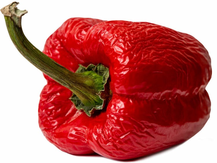 How To Store Bell Peppers to Preserve Their Freshness 2024