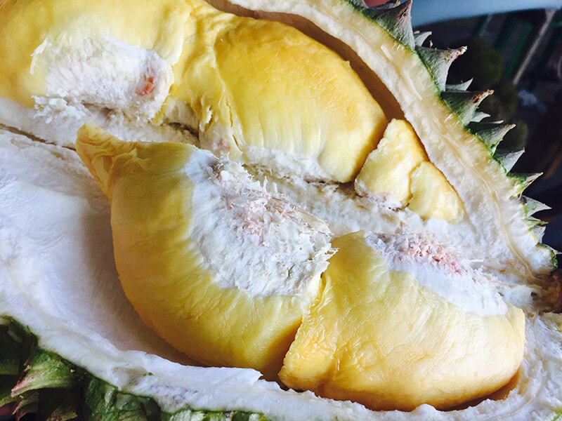 Yellow Durian
