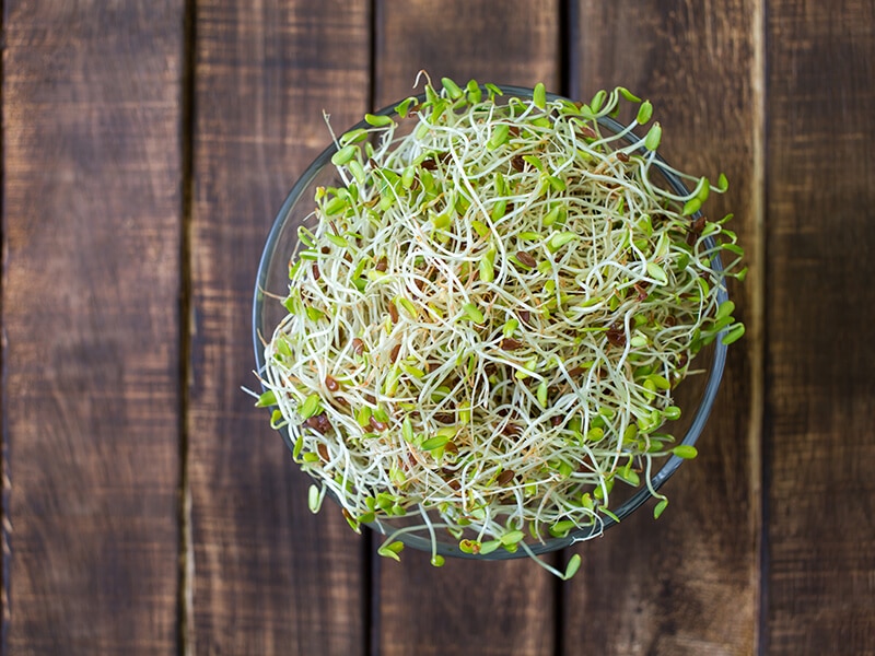 Alfalfa Sprouts