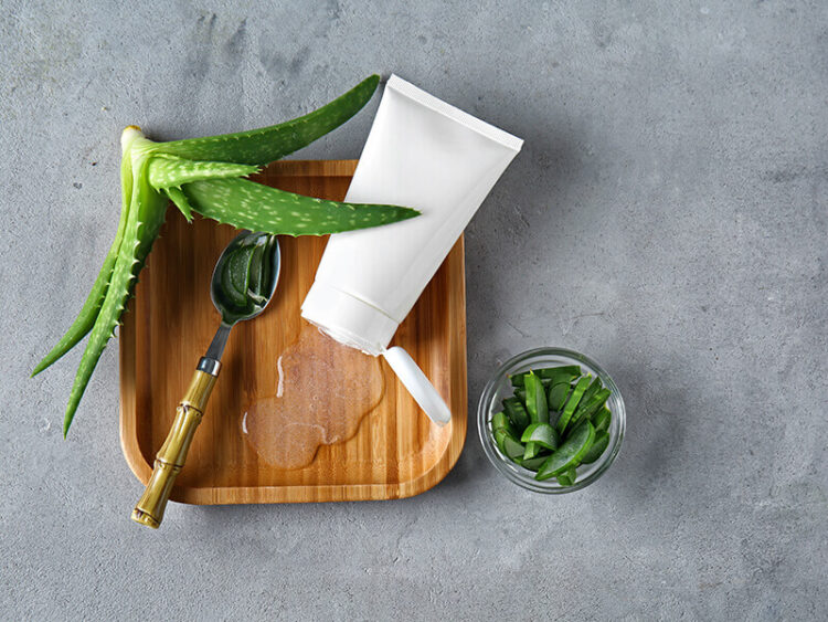 How To Store Aloe Vera Properly in 2024 Expert Tips