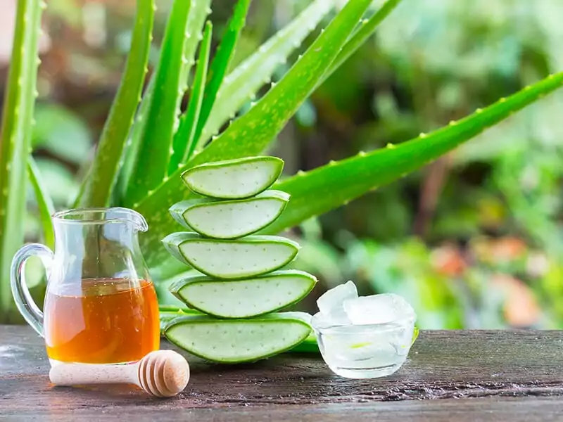 Aloe Vera with Honey