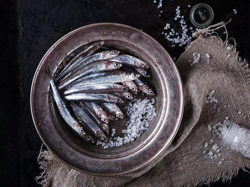 Anchovy Fresh Marine Fish