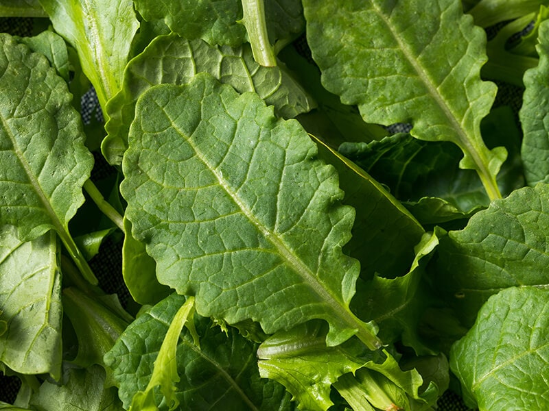 Baby Kale