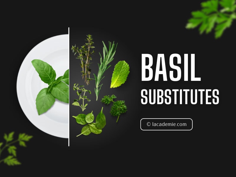 Basil Substitute