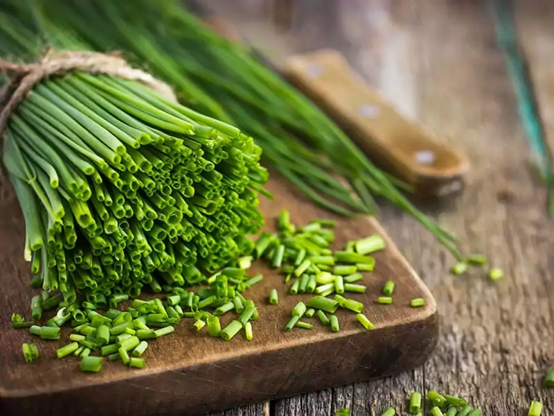 Bunch Fresh Chives