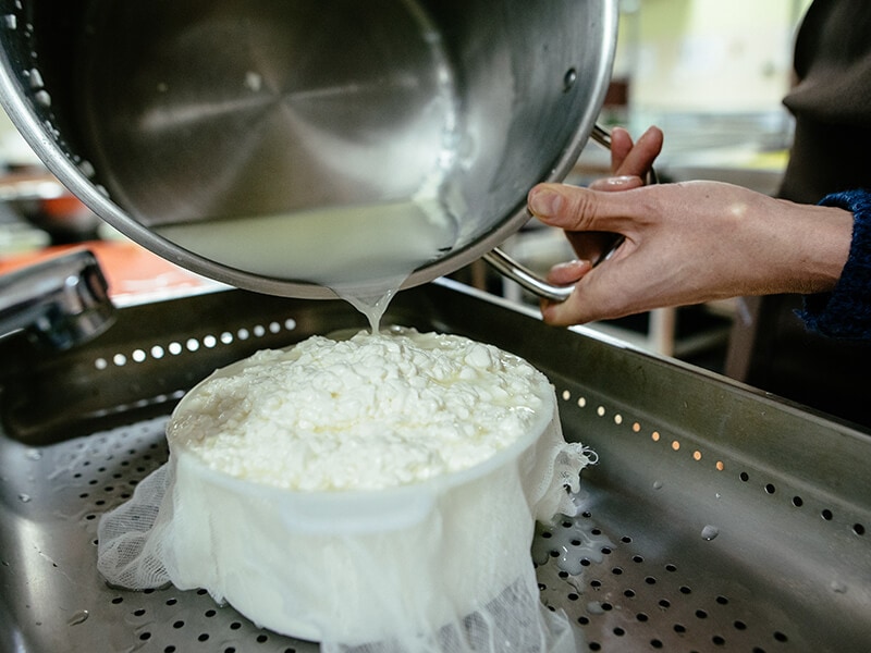 Cheesemaker Pours Curdled Milk