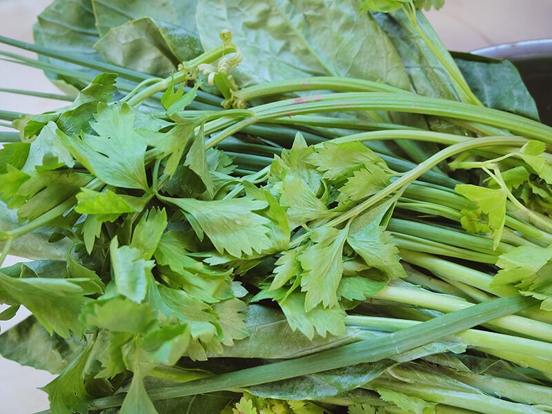 Chinese Celery Leaves