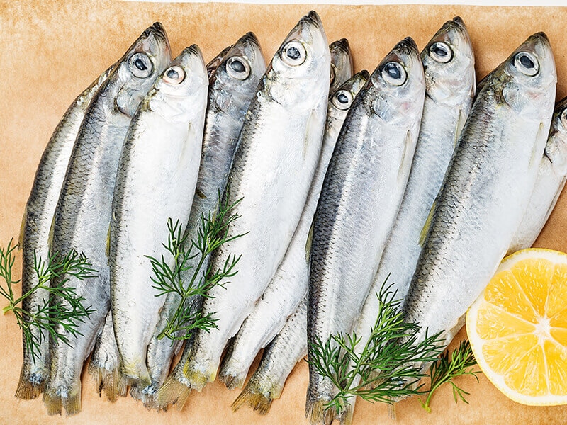 Choose Fresh Sardines