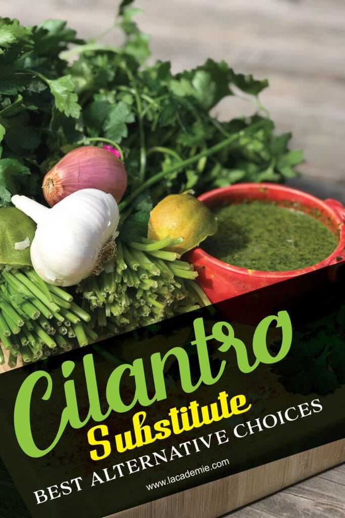 Cilantro Substitute