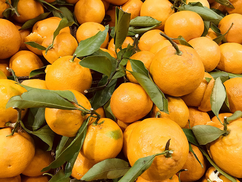 Fairchild Tangerines