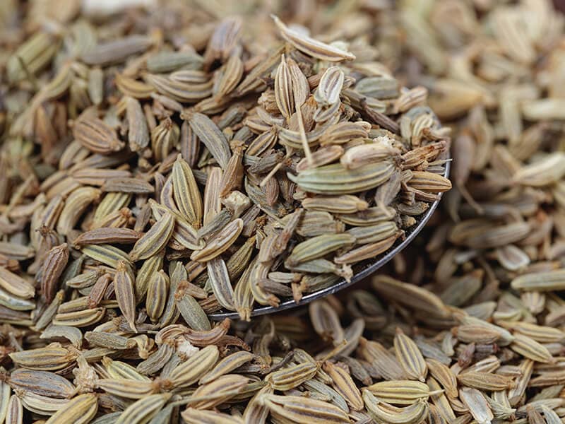 Fennel Seeds Spoon