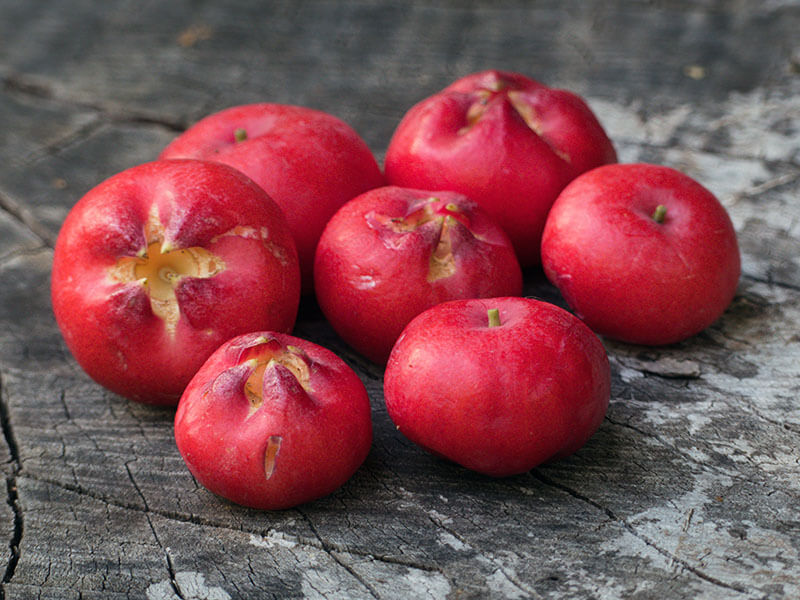 Fibrous Satinash Fruits