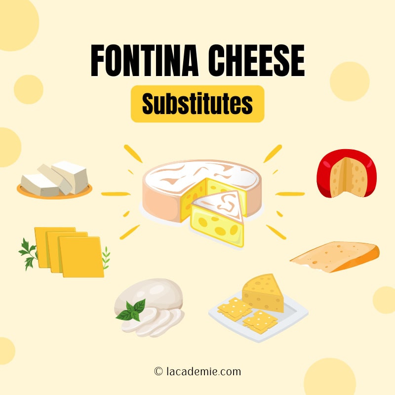 Fontina Cheese Substitute