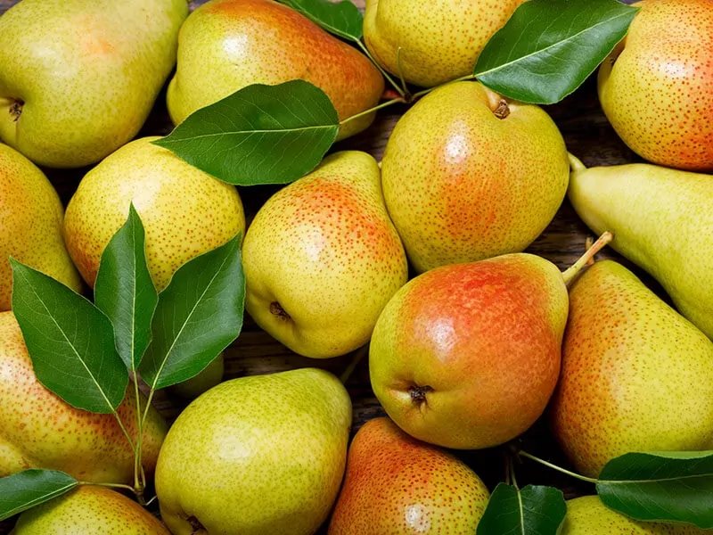 Fresh Pears