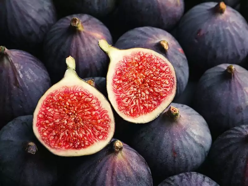 Fresh Ripe Figs