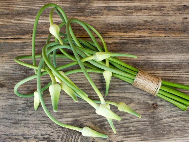 7 Effective Chives Substitutes for Your Recipes 2024