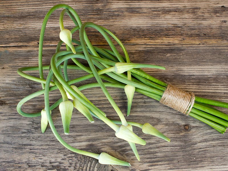 Garlic Scapes