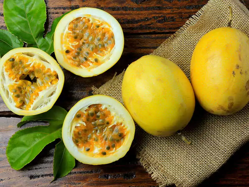 Golden Passion Fruit