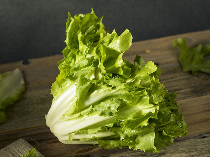 Green Organic Escarole Lettuce