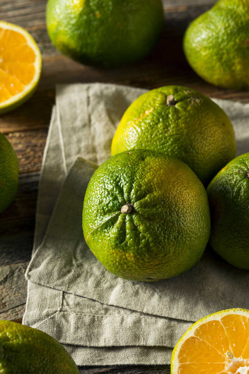 Green Organic Ugli Fruit